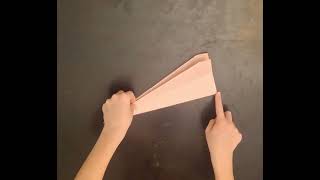 Simple Paper Airplane