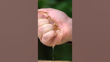 Satisfying honey #shorts #oddlysatisfyingvideo #satisfying #asmr