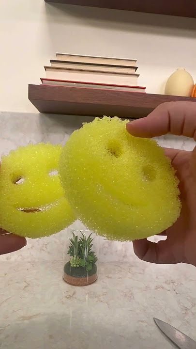 The Original Scrub Daddy - Official product video 