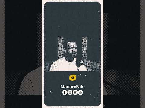 سنعود في الفجر الجديد