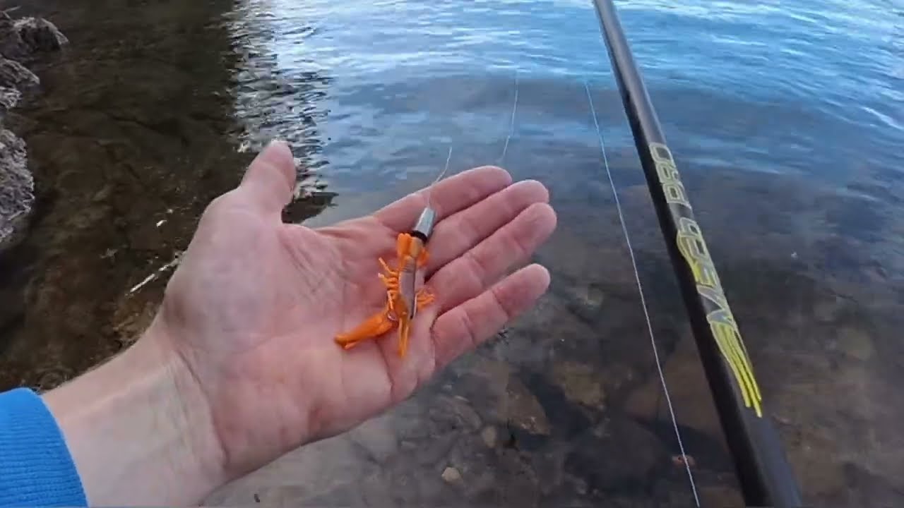 Bass fishing @Rollins reservoir near Colfax California