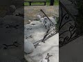СОЛНЕЧНЫЕ ЧАСЫ!!