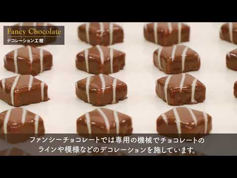 70周年記念 メリーチョコレート バーチャル工場見学 Youtube
