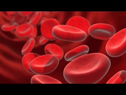 ГУСТАЯ И ЖИДКАЯ КРОВЬ  МИФЫ И ПРАВДА