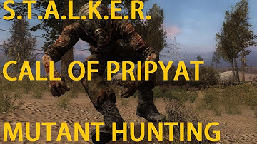 S.T.A.L.K.E.R.  Call Of Pripyat (Mutant Hunting)