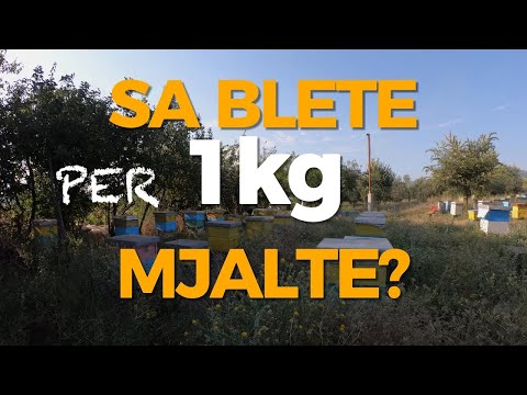 Video: Sa elementë janë në familjen e alkalit?