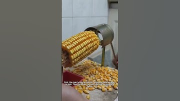 Easy Corn Kernel Removal