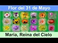Florecilla a María del 31 de Mayo