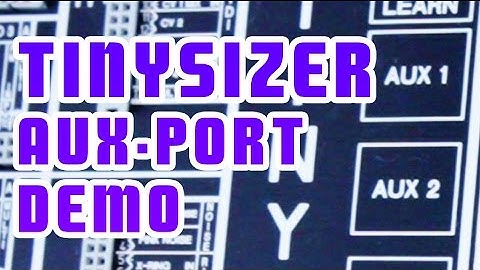 TINYSIZER AUX Port Demo - Connecting it to other Gear #TTNM