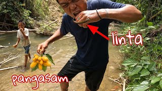 Pangasam at unlimatok's kakainin ni master!?😱