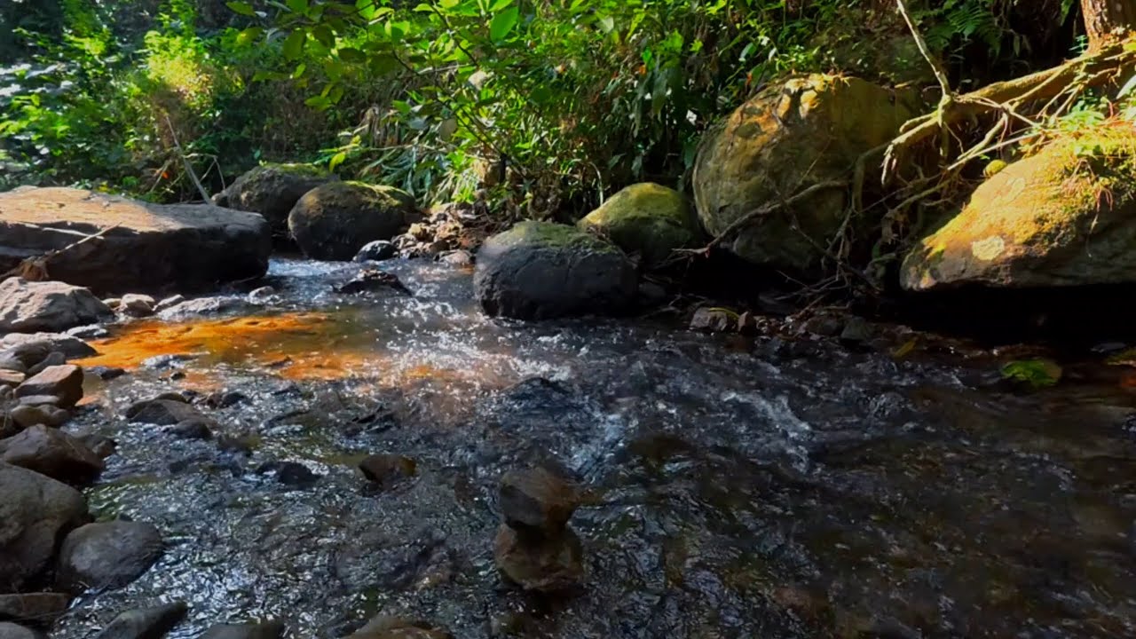 This Quiet River Sound Creates Instant Calm 🌙 Nature Sounds for Undisturbed Sleep