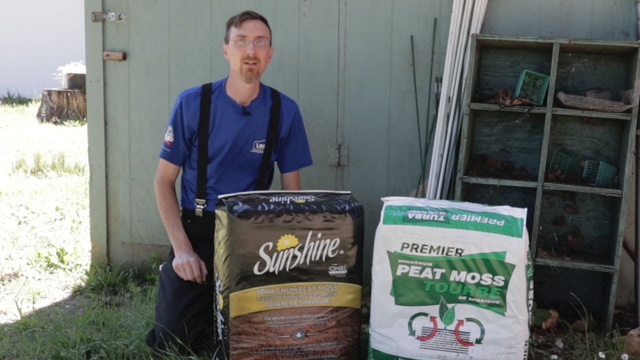 Is the More Expensive Peat Moss Worth it? YouTube