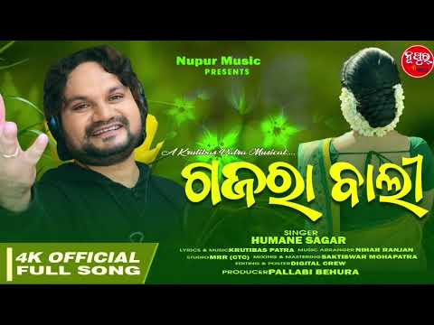 new song 🌼gajara Bali 🏵️ odia song 2023(Human sagar)