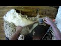 Sheep shearing ;Beiyuan trident pro 5c #7