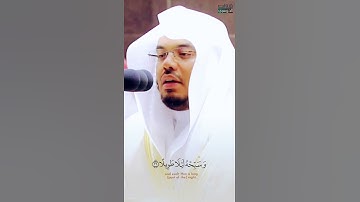 إِنّا نَحنُ نَزَّلنا عَلَيكَ القُرآنَ تَنزيلًا ___ ترتيل بديع من سورة الإنسان الشيخ ياسر الدوسري