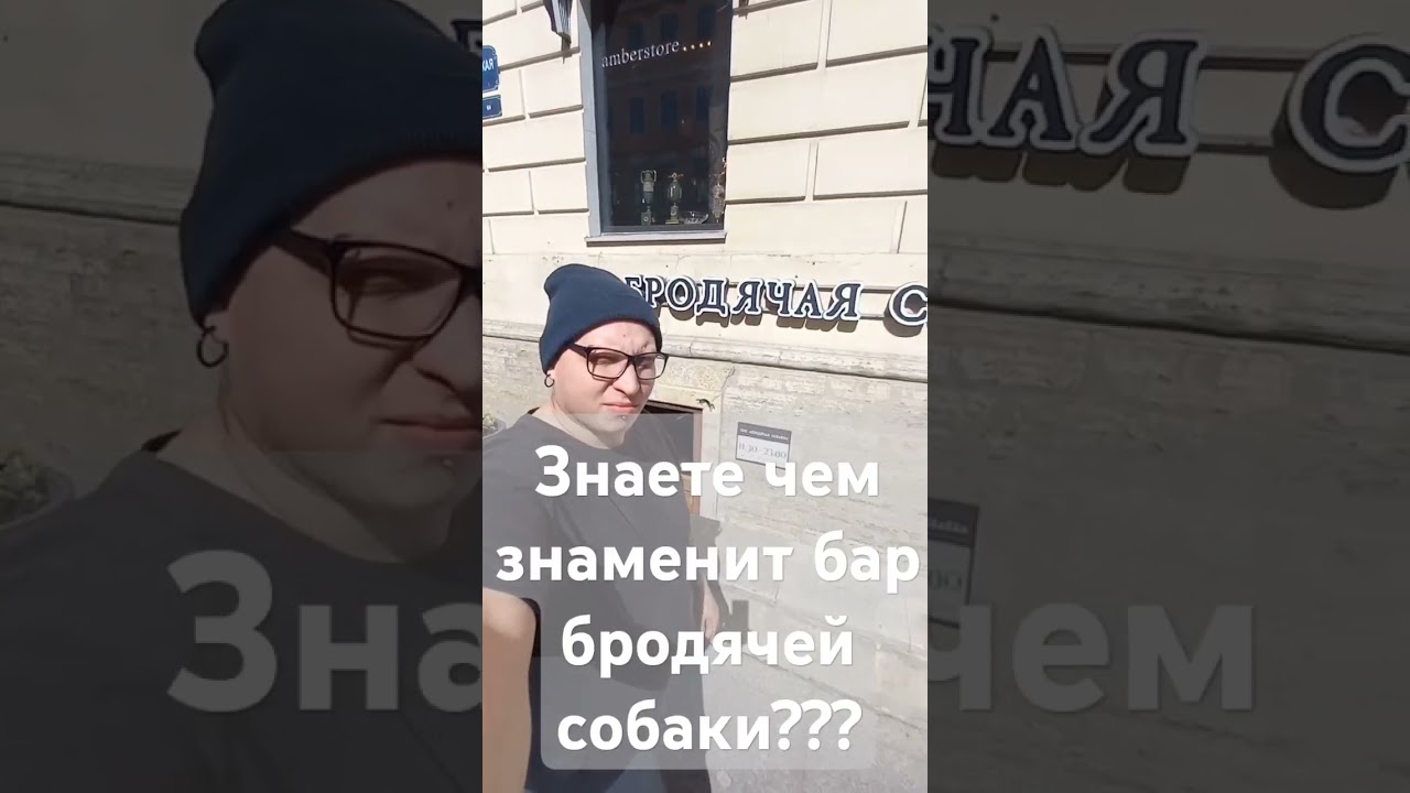 Кто знает чем знаменит бар бродячей собаки? 