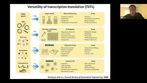 Build-a-Cell seminar Allen Liu: Translationally active cell-free expression for synthetic cells