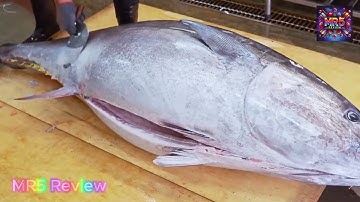 cá ngừ đại dương siêu to khổng lồ, 1 tỷ 1 con