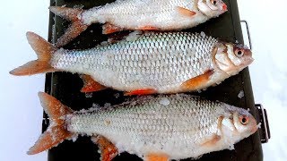 ОКУНИ-ТАНКИ РВУТ МОРМЫШКИ! ЛЕСКА ТРЕЩИТ! ПЛОТВА НА БЕЗМОТЫЛКУ! ОКУНИ-ТАНКИ РВУТ МОРМЫШКИ! ЛЕСКА ТРЕЩИТ! ПЛОТВА НА БЕЗМОТЫЛКУ!