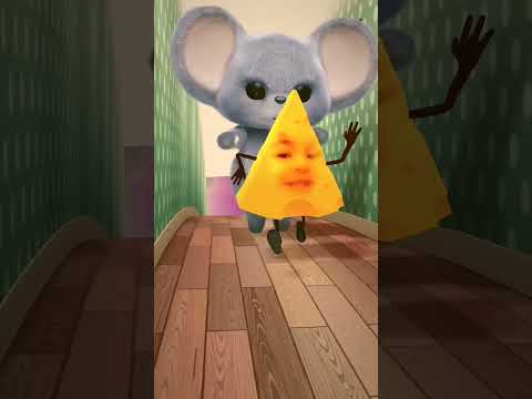 شوفتوا الفار السندق