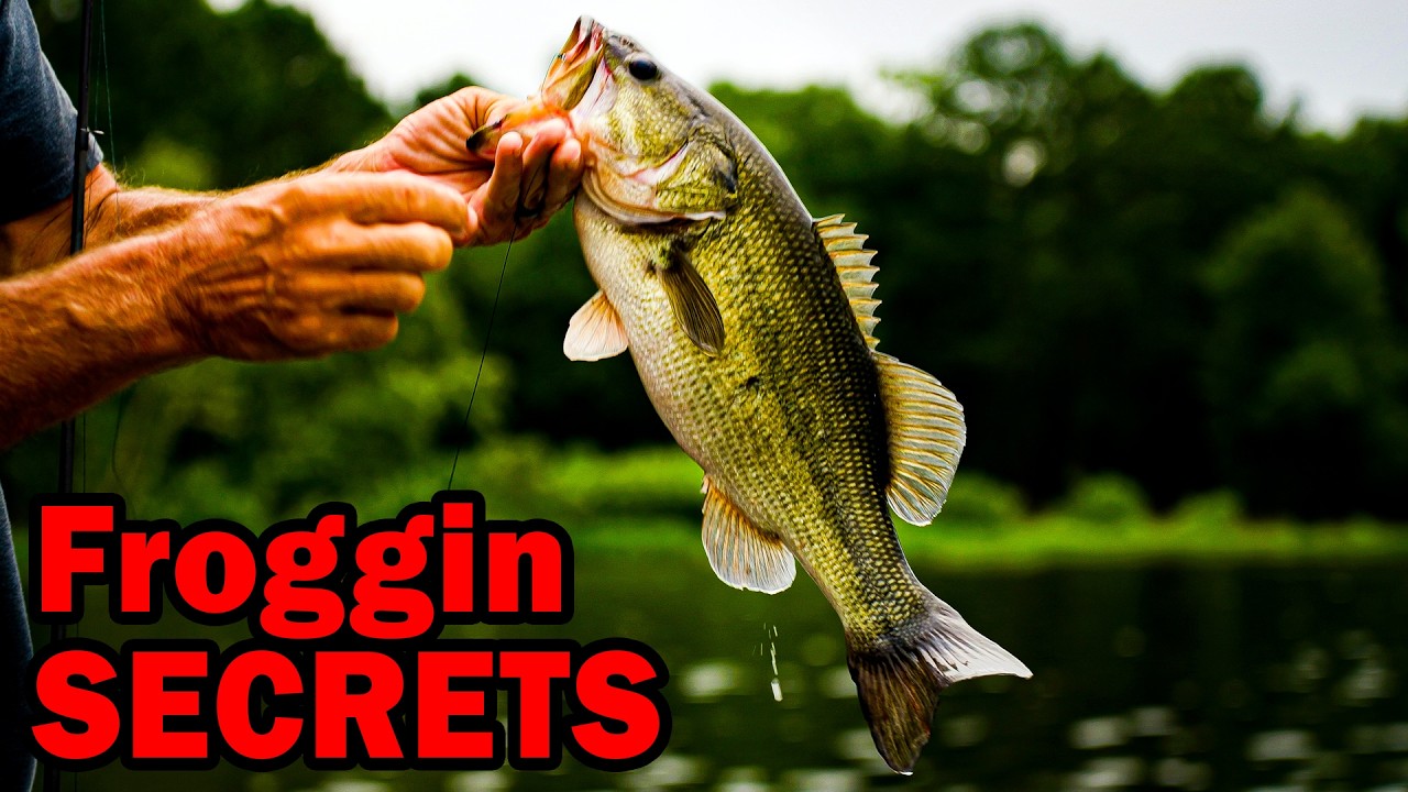 Todd Castledine's Complete Frog Fishing Guide (BIG Texas Bass)