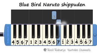 Blue_bird_Naruto not pianika