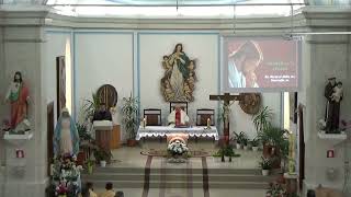 Pildești AMD: 7:00 - Sf Liturghie - Duminica a 7-a a Paștelui - Pr Ioan Ciobanu (12 mai 2024)