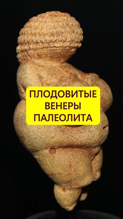 Венеры палеолита. Секреты тучных фигур #истории_с_азаровым #палеолит # ...