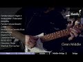 Clean Sound Demo: Musiclily Pro ST-DPMA Alnico 5 Dual Single Coil Sized Humbucker Pickups Set