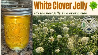 Clover Jelly | Useful Knowledge