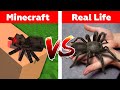 MINECRAFT SPIDER IN REAL LIFE! Minecraft vs Real Life animation 2022