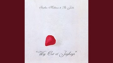 The Janitor Revealed