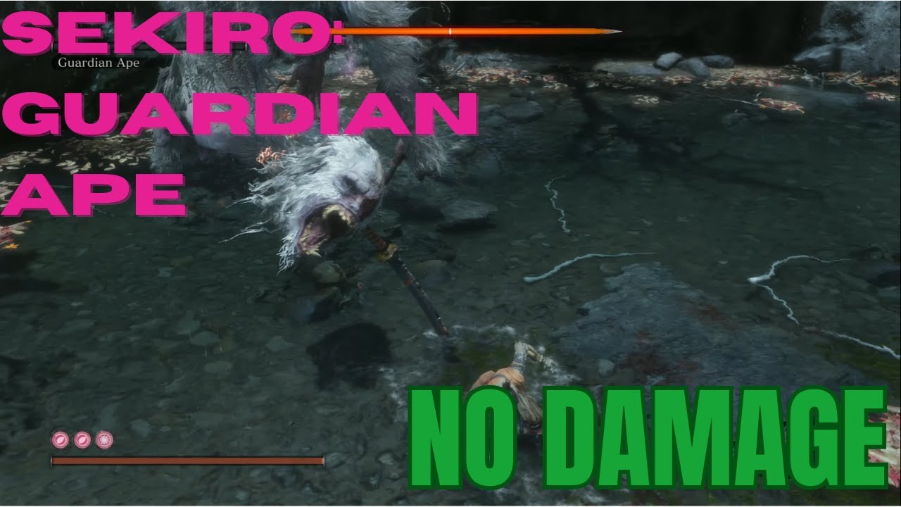 Sekiro: Guardian Ape | NO DAMAGE - YouTube