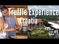 Karlic Truffles - Truffle Experience - A must do in Istria | Croatia Creator Roadtrip #4