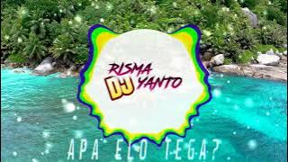 DJ APA ELO TEGA SANFONAMIX MELODINYA ULAR NAGA FREE FLP