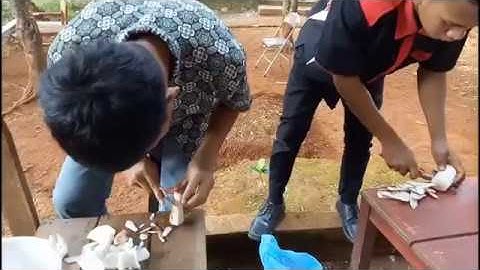 PART 1. Teknologi Kultur Jaringan Tanaman