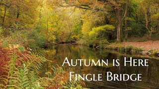 Autumn is here 2024 - Fingle Bridge