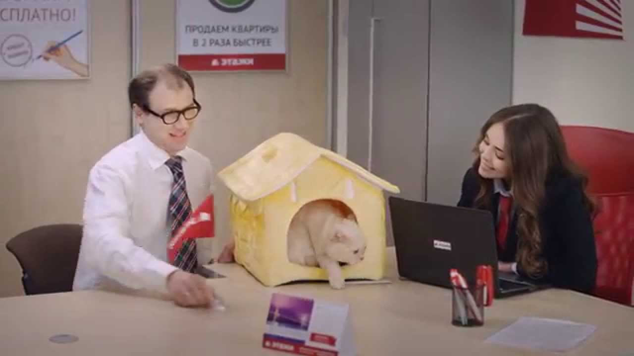 РАН "Этажи" - Она у меня такая...(Cat edit) - YouTube