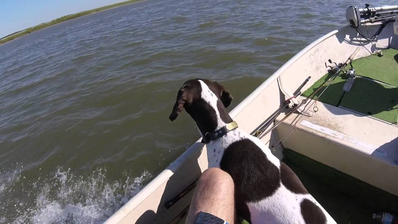 2016 - Crappie Fishing - Truman Lake - YouTube