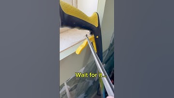 Feeding My Pet Jumping Spider🕷️#shorts #spider