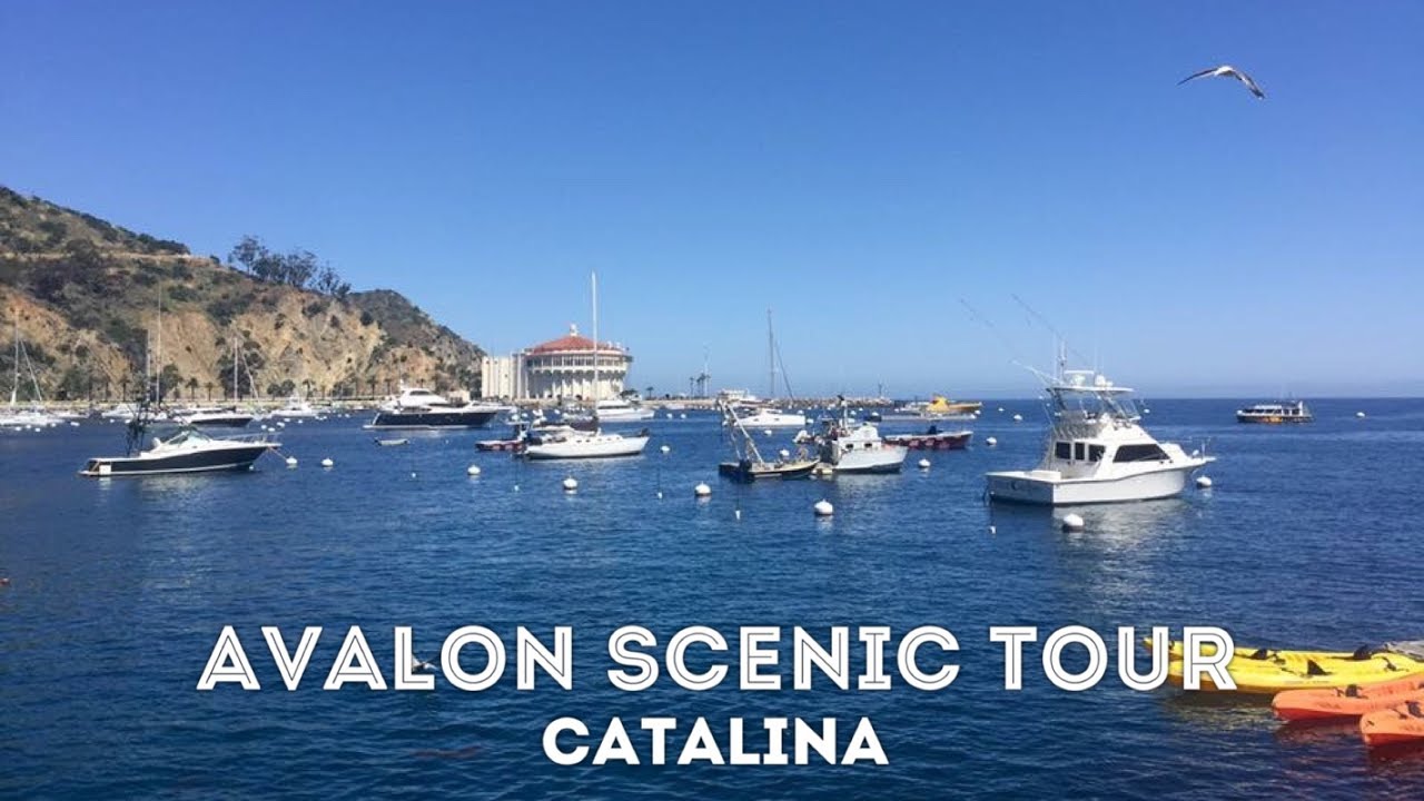 catalina scenic tour