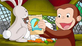 ¿Cómo cultivas zanahorias? | Jorge El Curioso En Español