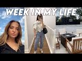 WEEK IN MY LIFE: redecorating and organizing my entire house, grocery haul & shop with me