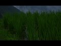 【自然音】カエルの鳴き声 / Nature Sounds - A Huge Chorus of Frogs