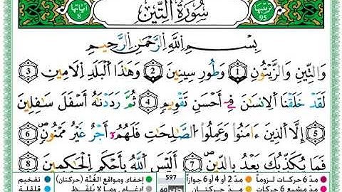 سورة" التين " حمزة الجزائري