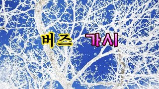 버즈 (Buzz) - 가시 1시간듣기 [가사]