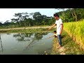 Best Fishing Video (Part-201)