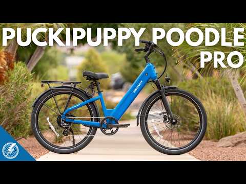 Puckipuppy Finally Got This Right | Puckipuppy Poodle Pro Review