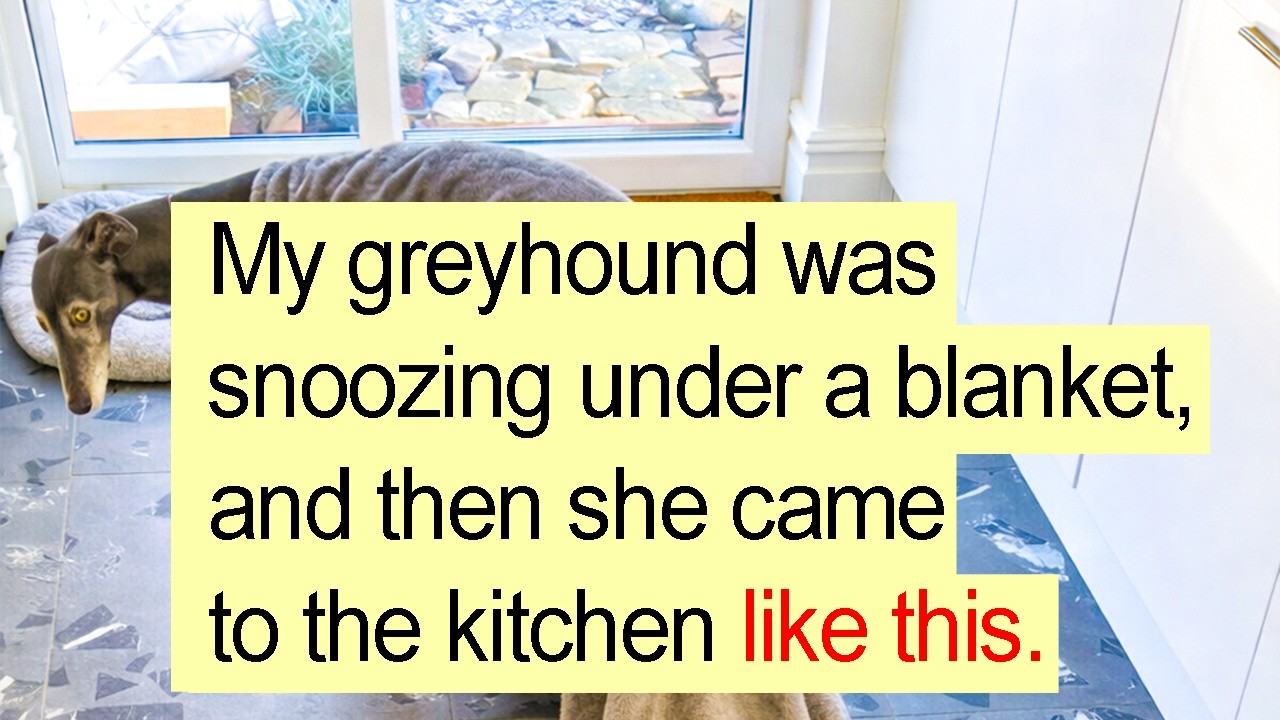 Coincidences That Look Too Perfect To Be Real, But Actually Happened