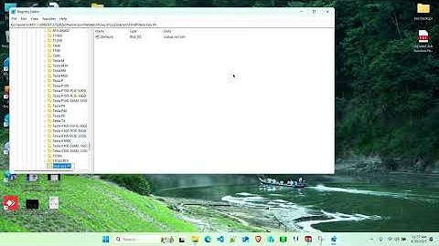 Enable Real View Graphics on Solidworks 2025 for AMD Nvidia Graphic